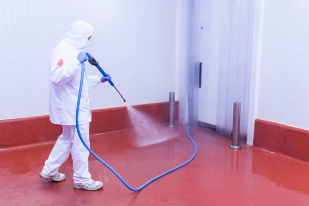 Best Rust and Stain Removal in Maquoketa, IA