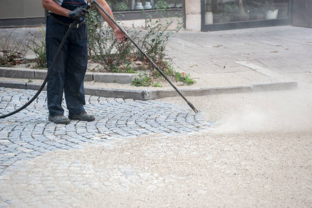 Best Driveway Cleaning and Restoration in Maquoketa, IA