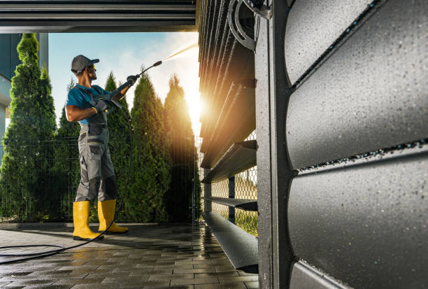 Best Soft Washing for Delicate Surfaces in Maquoketa, IA